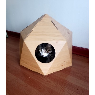 Gato en cama geométrica 