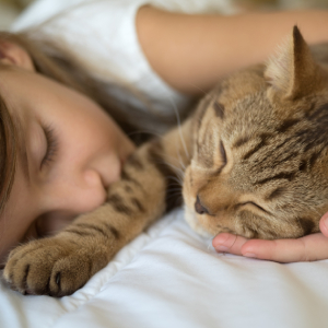 images/Noticias_2023/consejos-para-la-convivencia-entre-ninos-y-gatos-II.jpg